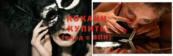 шишки Нея