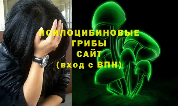 СК Абинск